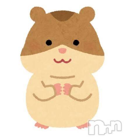 新潟デリヘルsleepy girl(スリーピーガール)新人あいすちゃん(19)の2026年3月16日写メブログ「🐹」