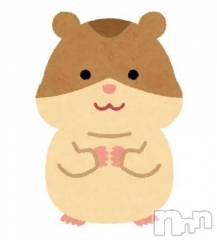 新潟デリヘルsleepy girl(スリーピーガール) 新人あいすちゃん(19)の3月16日写メブログ「🐹」