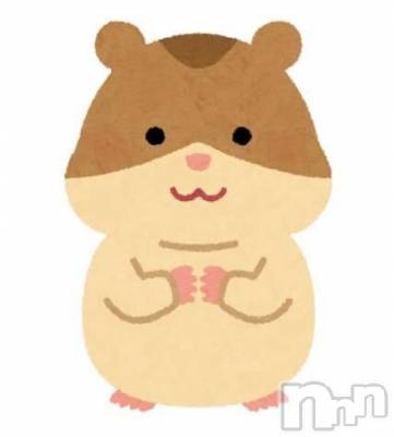 新潟デリヘル sleepy girl(スリーピーガール) 新人あいすちゃん(19)の3月16日写メブログ「🐹」