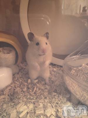 �ߤ�(21) ��Ĺ158cm����Į����Х��顦����� Club Lusso(����֡���å�)���ҡ�