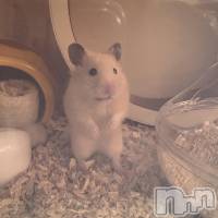 �ߤ�(21) ��Ĺ158cm����Į����Х��顦����� Club Lusso(����֡���å�)���ҡ�