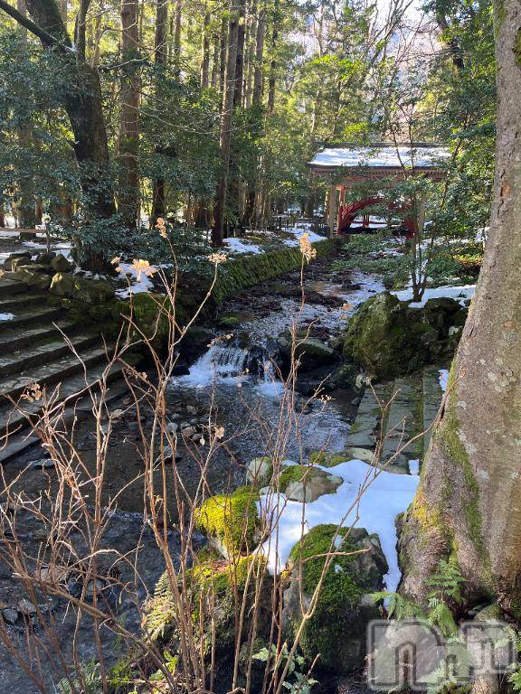 新潟デリヘル人妻不倫処　桃屋　新潟店(ヒトヅマフリンドコロモモヤ)みらい・新人奥様(33)の2026年1月26日写メブログ「お礼」