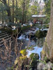 新潟デリヘル人妻不倫処　桃屋　新潟店(ヒトヅマフリンドコロモモヤ) みらい・新人奥様(33)の1月26日写メブログ「お礼」