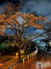 新潟デリヘル人妻不倫処　桃屋　新潟店(ヒトヅマフリンドコロモモヤ) みらい・新人奥様(33)の4月19日写メブログ「お久しぶりです」