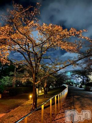 新潟デリヘル 人妻不倫処　桃屋　新潟店(ヒトヅマフリンドコロモモヤ) みらい・新人奥様(33)の4月19日写メブログ「お久しぶりです」