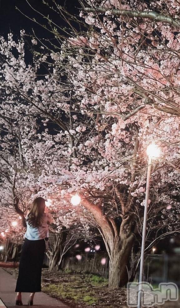 新潟デリヘル五十路マダム新潟店(カサブランカグループ)(イソジマダムニイガタテン)浜辺さりな(57)の2026年3月29日写メブログ「いつかの🌸」