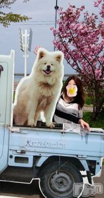 新潟デリヘル 五十路マダム新潟店(カサブランカグループ)(イソジマダムニイガタテン) 浜辺さりな(57)の4月1日写メブログ「ここまでLunch行ってきたの…。」