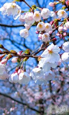 新潟デリヘル 五十路マダム新潟店(カサブランカグループ)(イソジマダムニイガタテン) 浜辺さりな(57)の4月3日写メブログ「みた！？」