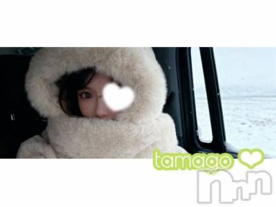 上越デリヘル BLUE BIRD上越店(ブルーバード上越店) たまご(25)の12月19日写メブログ「💛ご挨拶🐣‪💛」