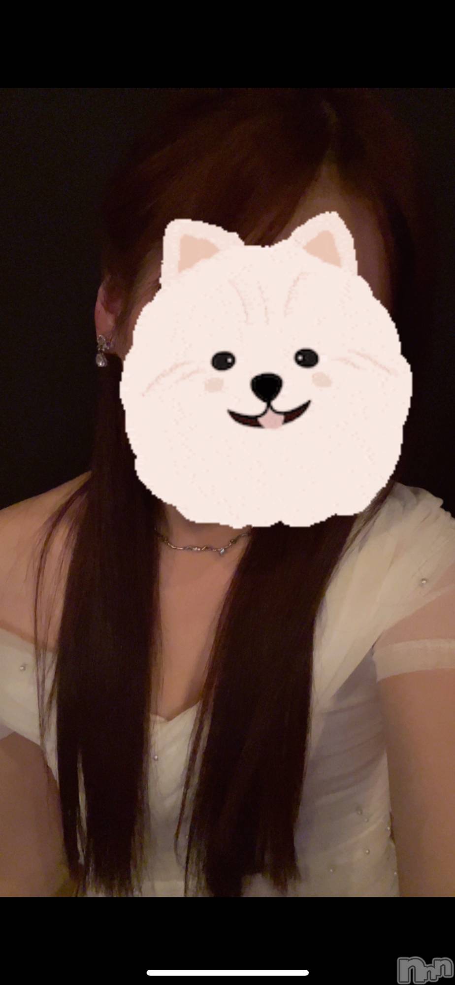 ���ܱ�������Х��顦����֥���� �ץ���� ����(����� �ץ���� �ޥĥ��) ��2025ǯ12��22���̥�֥�����12��22�� 20��06ʬ�Υ֥�����