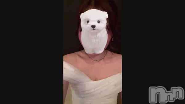 ��12��28�� 20��00ʬ�Υ֥�����