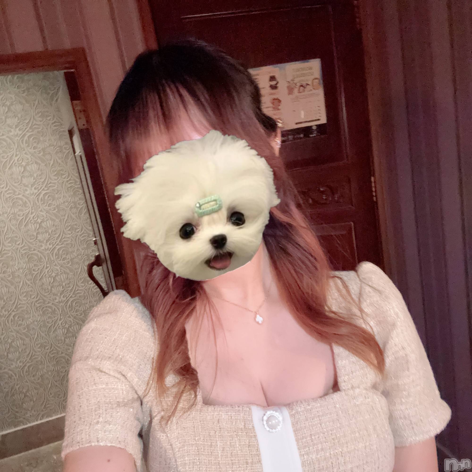 ���ܱ�������Х��顦���������(�����) ��2026ǯ6��25���̥�֥����֤��塪��