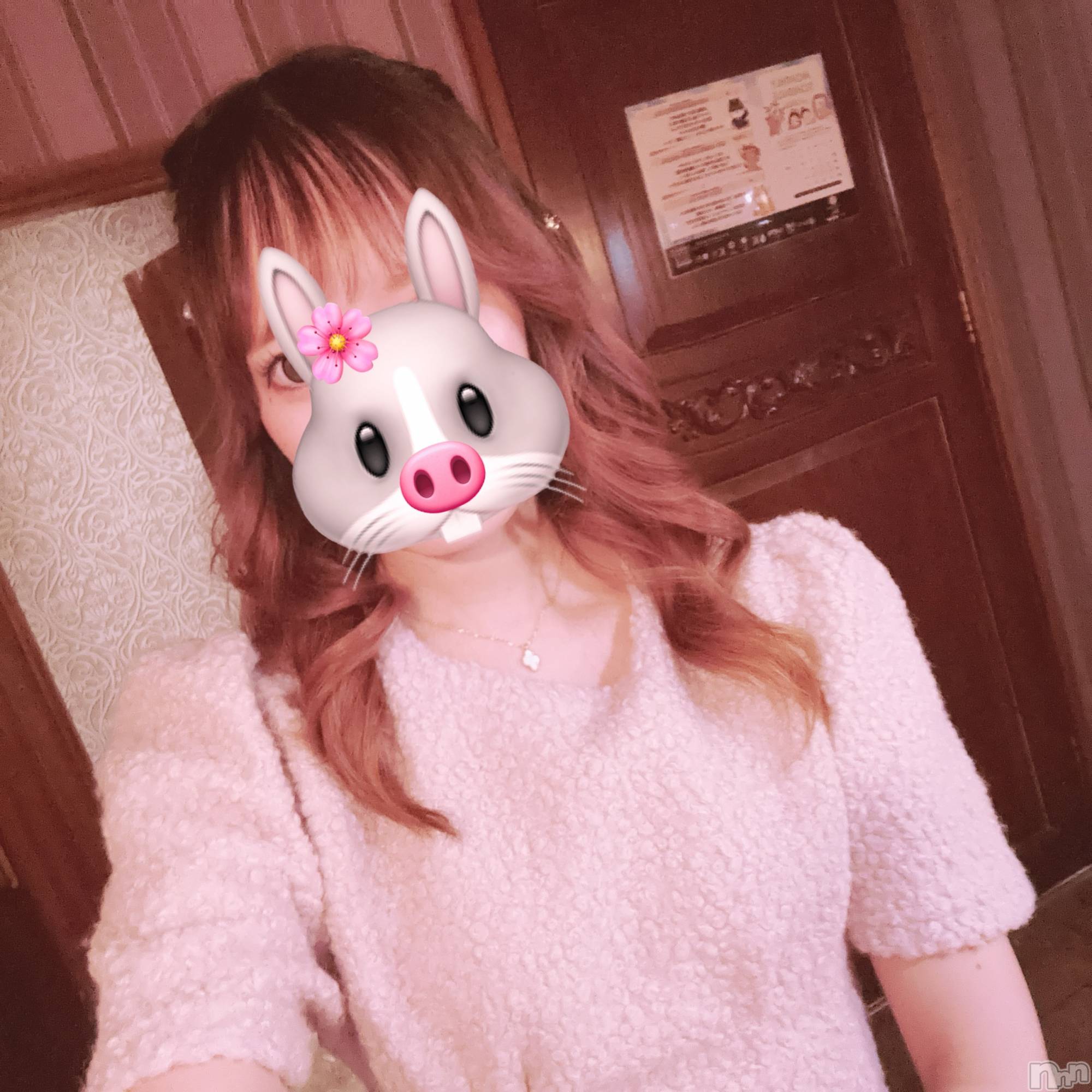 ���ܱ�������Х��顦���������(�����) ��2026ǯ7��5���̥�֥�����🐰��