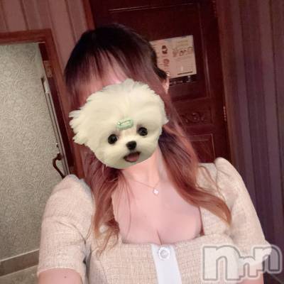 ���ܱ�������Х��顦���������(�����) �ꤢ���6��25���̥�֥����֤��塪��