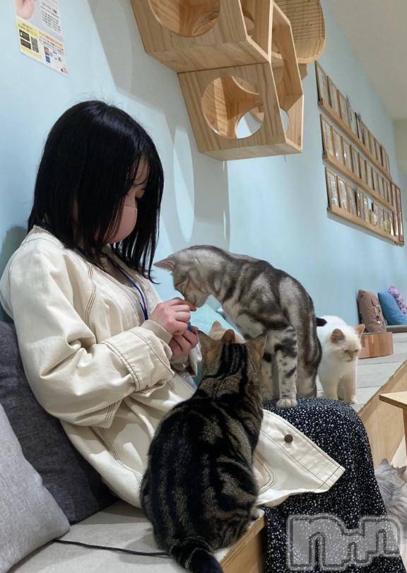 上越デリヘルBLUE BIRD上越店(ブルーバード上越店)すもも(23)の2026年3月7日写メブログ「⭕️⭕️よりも甘えてくる🐱」