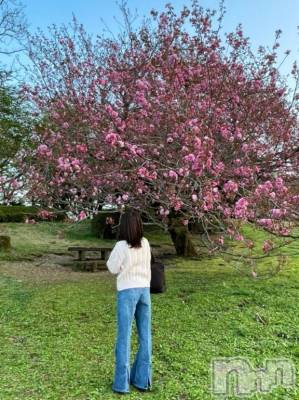 上越デリヘル BLUE BIRD上越店(ブルーバード上越店) すもも(23)の3月6日写メブログ「🌸お花見デートのあと…ナイショの続きシよ？」