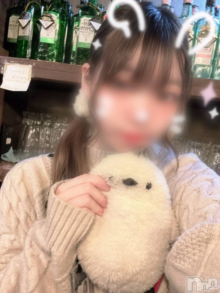 ����������ʥå��������륺�С������륺�С� �ӥ���٥˥塼(�����륺�С��ӥ���٥˥塼) �ʤ�ߤ�2��18���̥�֥����֥ӥ���OPEN����LAST🌱��