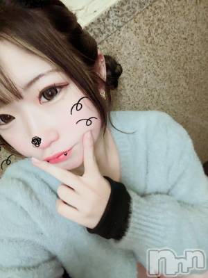 ����������ʥå��������륺�С������륺�С� �ӥ���٥˥塼(�����륺�С��ӥ���٥˥塼) ������(20)��1��8���̥�֥������㴨�����롼����