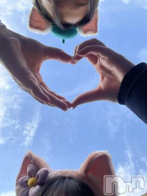 ����������ʥå��������륺�С������륺�С� �ӥ���٥˥塼(�����륺�С��ӥ���٥˥塼) ������(20)��3��10���̥�֥����ֺ�������������