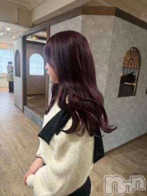 ������(20) ��Ĺ155cm������������ʥå��������륺�С� �����륺�С� �ӥ���٥˥塼(�����륺�С��ӥ���٥˥塼)���ҡ�