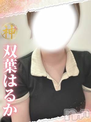 【新人】双葉はるか(ヒミツ) スリーサイズB(A).W.H。新潟メンズエステ Men's Spa 神の手(メンズスパカミノテ)在籍。