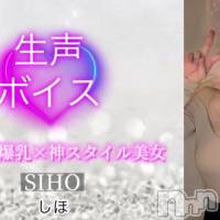 しほ☆プラチナ