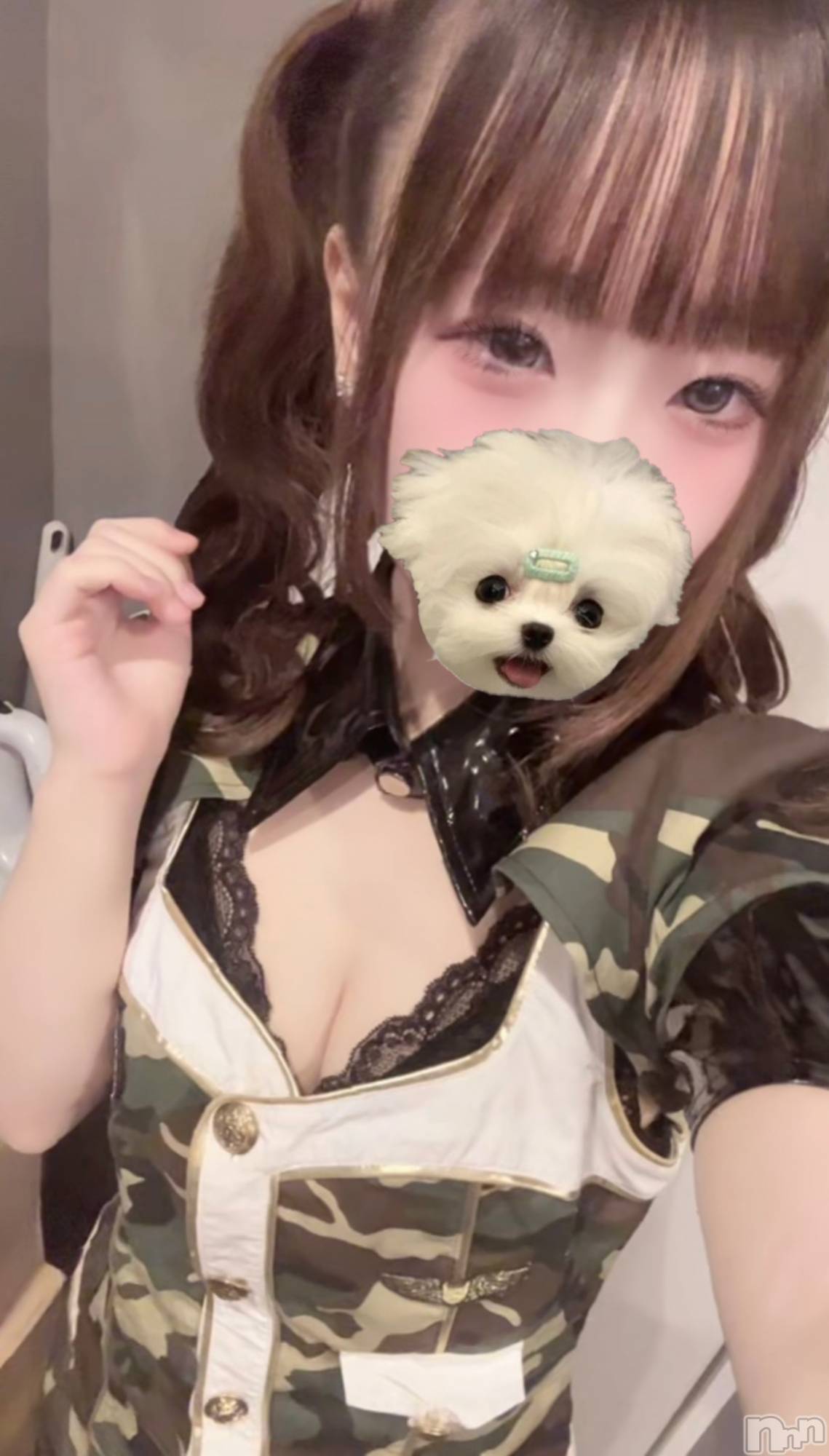 �����������Х��顦�����Diletto(�ǥ���å�) ��2026ǯ2��1���̥�֥�����ARMY�����ץ줢�꤬�Ȥ��������ޤ�������