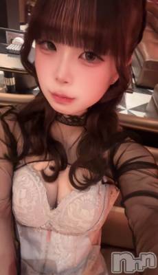 �����������Х��顦�����Diletto(�ǥ���å�) �뤤��2��19���̥�֥����֤��塪��