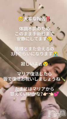 🍀�ޤ����������ޤ�🫡