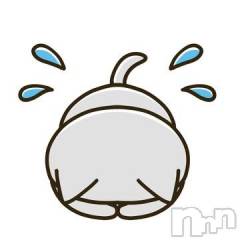 新潟デリヘル新潟人妻デリバリーヘルス 下心 ～したごころ～(シタゴコロ) もえ奥様(26)の4月21日写メブログ「明日のお知らせ」