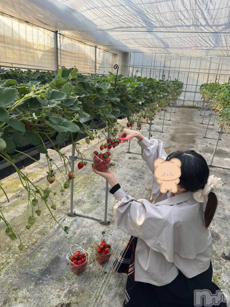 新潟デリヘルCherish Amulet(チェリッシュ アミュレット) はむ★ ≪リピ率最強≫(21)の4月2日写メブログ「リピさんとデートしてきました。」