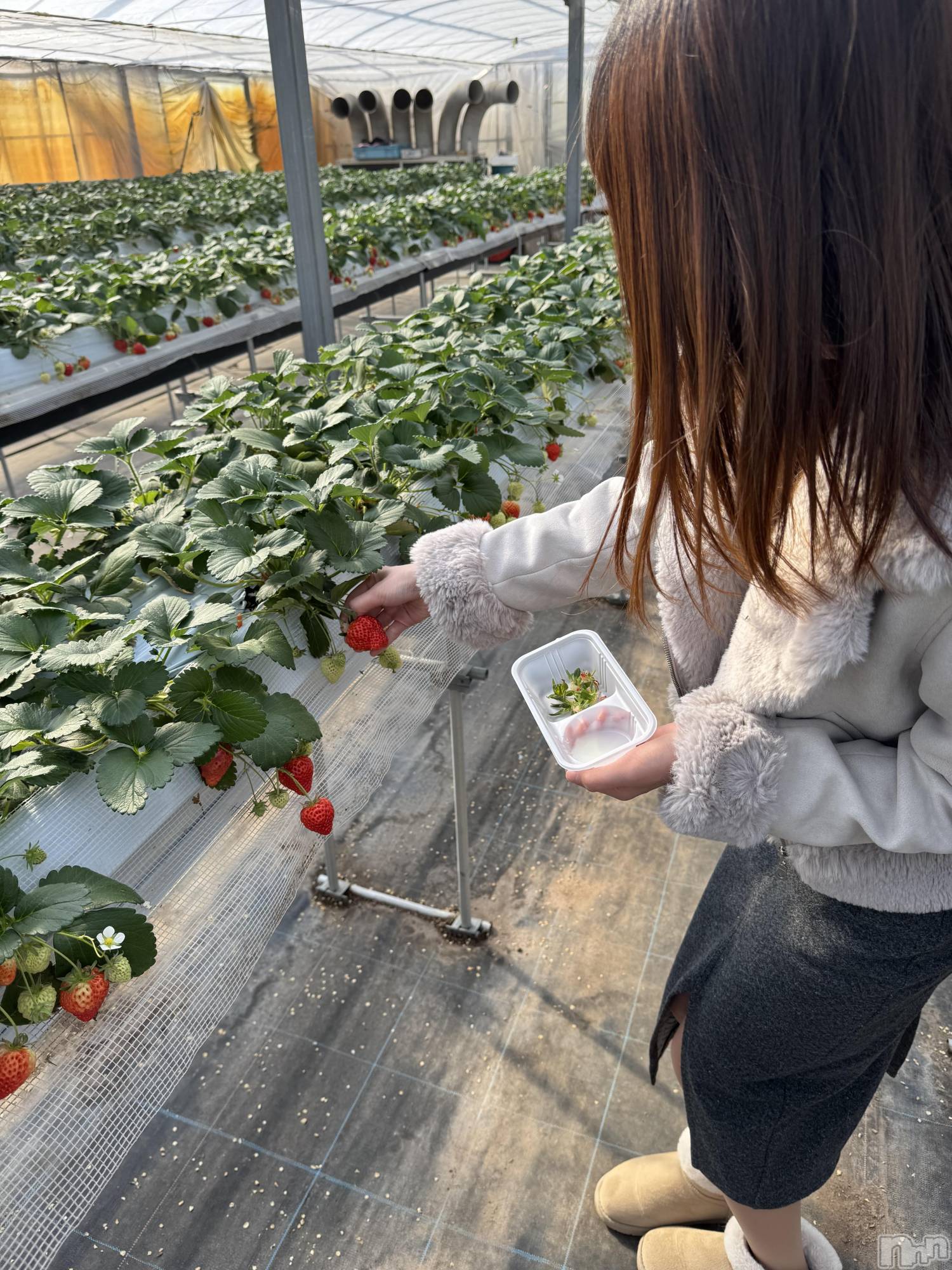 新潟デリヘルCherish Amulet(チェリッシュ アミュレット)はむ★ ≪リピ率最強≫(21)の2026年2月21日写メブログ「人生初めてでした。」