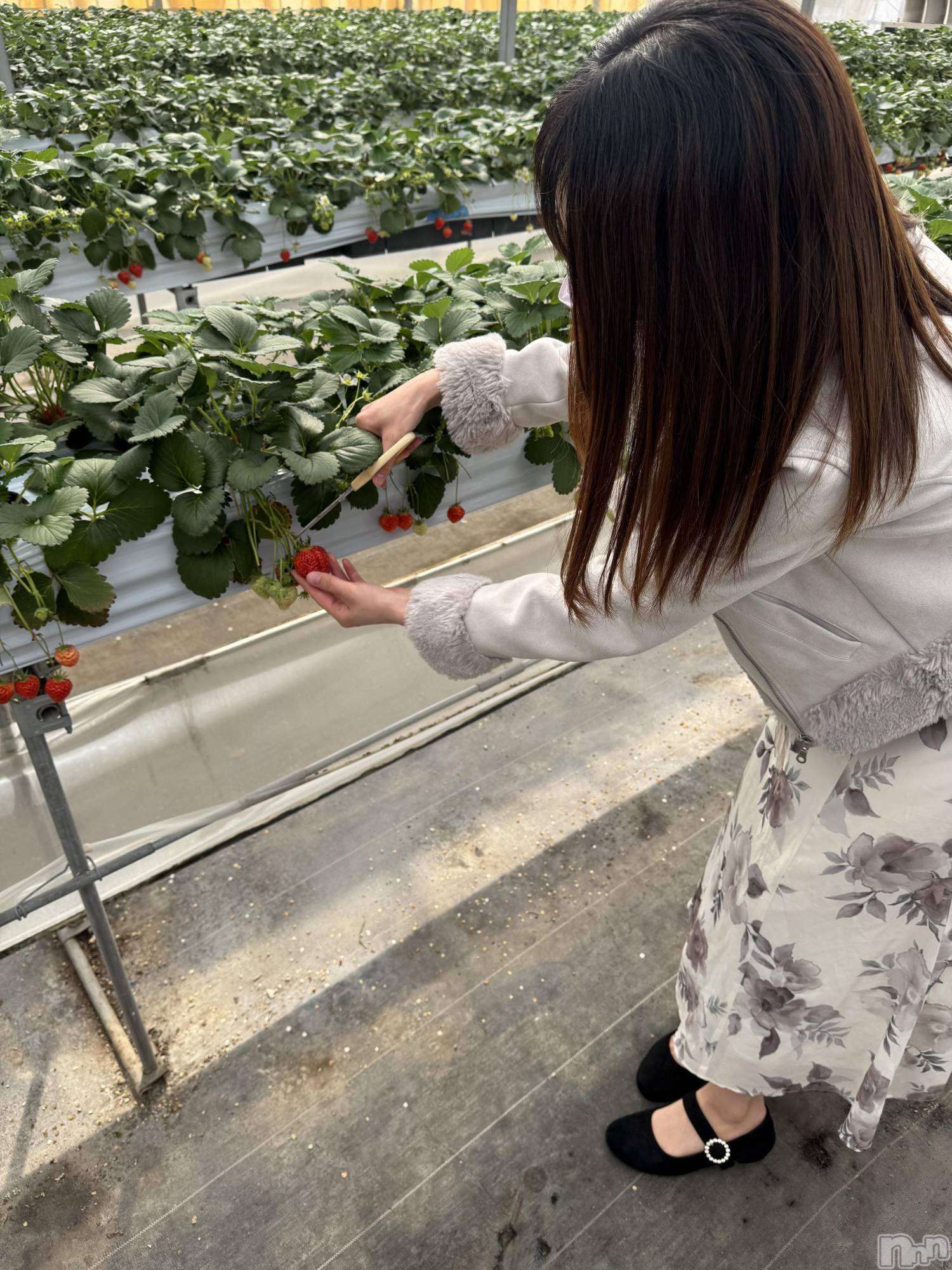 新潟デリヘルCherish Amulet(チェリッシュ アミュレット)はむ★ ≪リピ率最強≫(21)の2026年3月17日写メブログ「長くなります🤣」