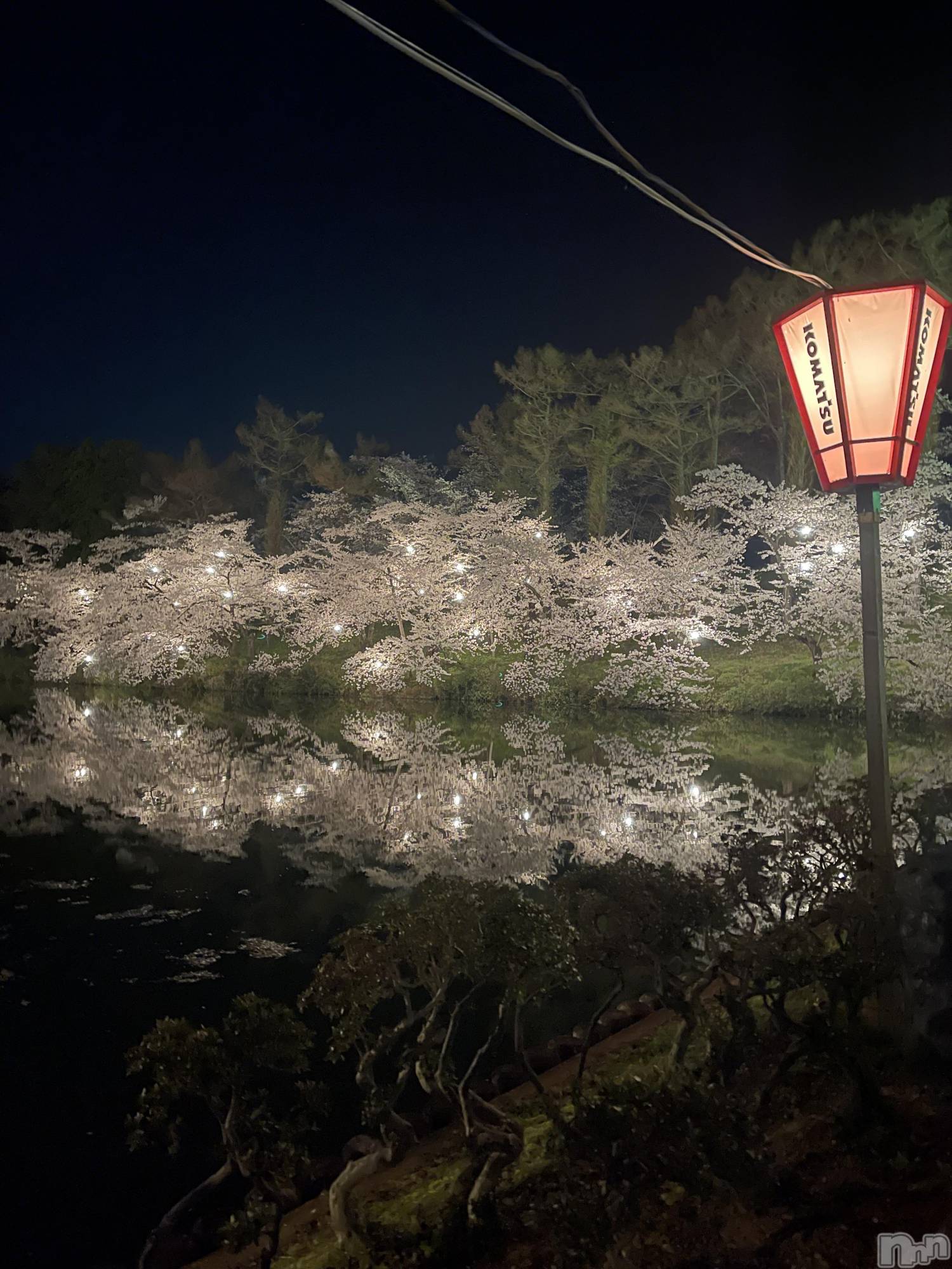 新潟メンズエステあろまえすて＠新潟(アロマエステアットニイガタ)羽海＊うみ(23)の2026年4月9日写メブログ「おすそわけ💕」