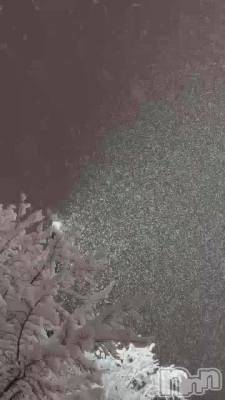 いつもありがとうございます( ´͈ ᵕ `͈ )💓