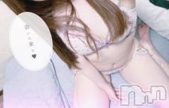 新潟デリヘル新潟人妻　2nd Wife(セカンドワイフ) 体験。ことり奥様(26)の1月7日写メブログ「出勤🐱」