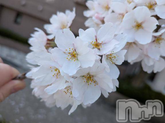 松本発デリヘル松本人妻隊(マツモトヒトヅマタイ)りょう(50)の2026年4月23日写メブログ「こんにちは😃」