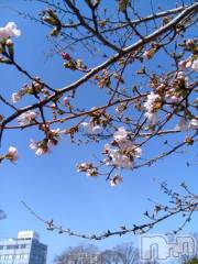 松本発デリヘル松本人妻隊(マツモトヒトヅマタイ) りょう(50)の3月22日写メブログ「こんばんは🌙」