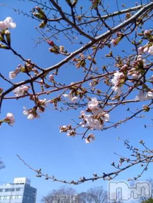 松本発デリヘル 松本人妻隊(マツモトヒトヅマタイ) りょう(50)の3月22日写メブログ「こんばんは🌙」