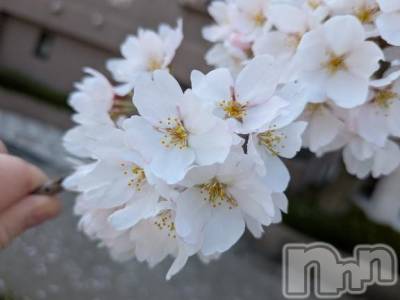 松本発デリヘル 松本人妻隊(マツモトヒトヅマタイ) りょう(50)の4月23日写メブログ「こんにちは😃」