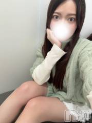 新潟デリヘル奥様特急 新潟店(オクサマトッキュウニイガタテン) しいな(26)の4月6日写メブログ「ぽかぽか春日和🌸」