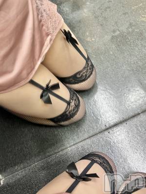 きょうもいます！