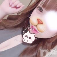 ��Ʋ����Х��顦����� JARDIN CLUB(�������󥯥��) �ʤʤߤβ���(2����)