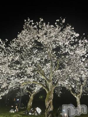 新潟デリヘル 奥様特急 新潟店(オクサマトッキュウニイガタテン) にいな(25)の4月18日写メブログ「出勤」