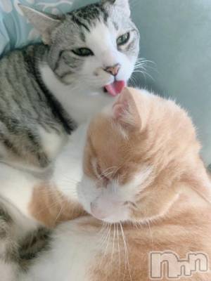 長岡デリヘル 純・無垢(ジュンムク) みこと(18)の1月9日写メブログ「うちの猫🐈🐈‍⬛」