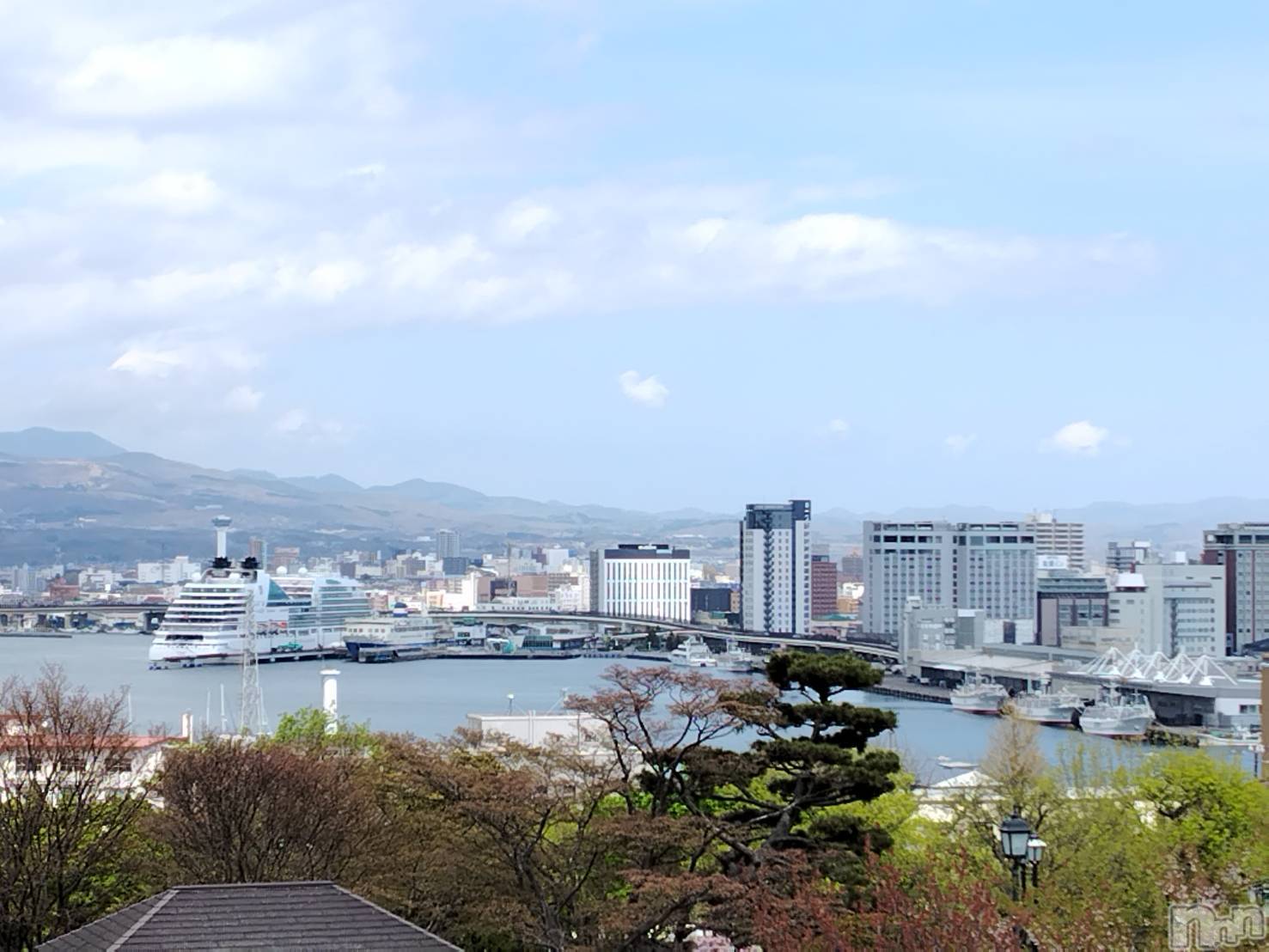 新潟デリヘルデリヘル新潟(デリヘルニイガタ)電撃復活/めぐみ(25)の2026年6月9日写メブログ「ごめんなさい🙏💦」