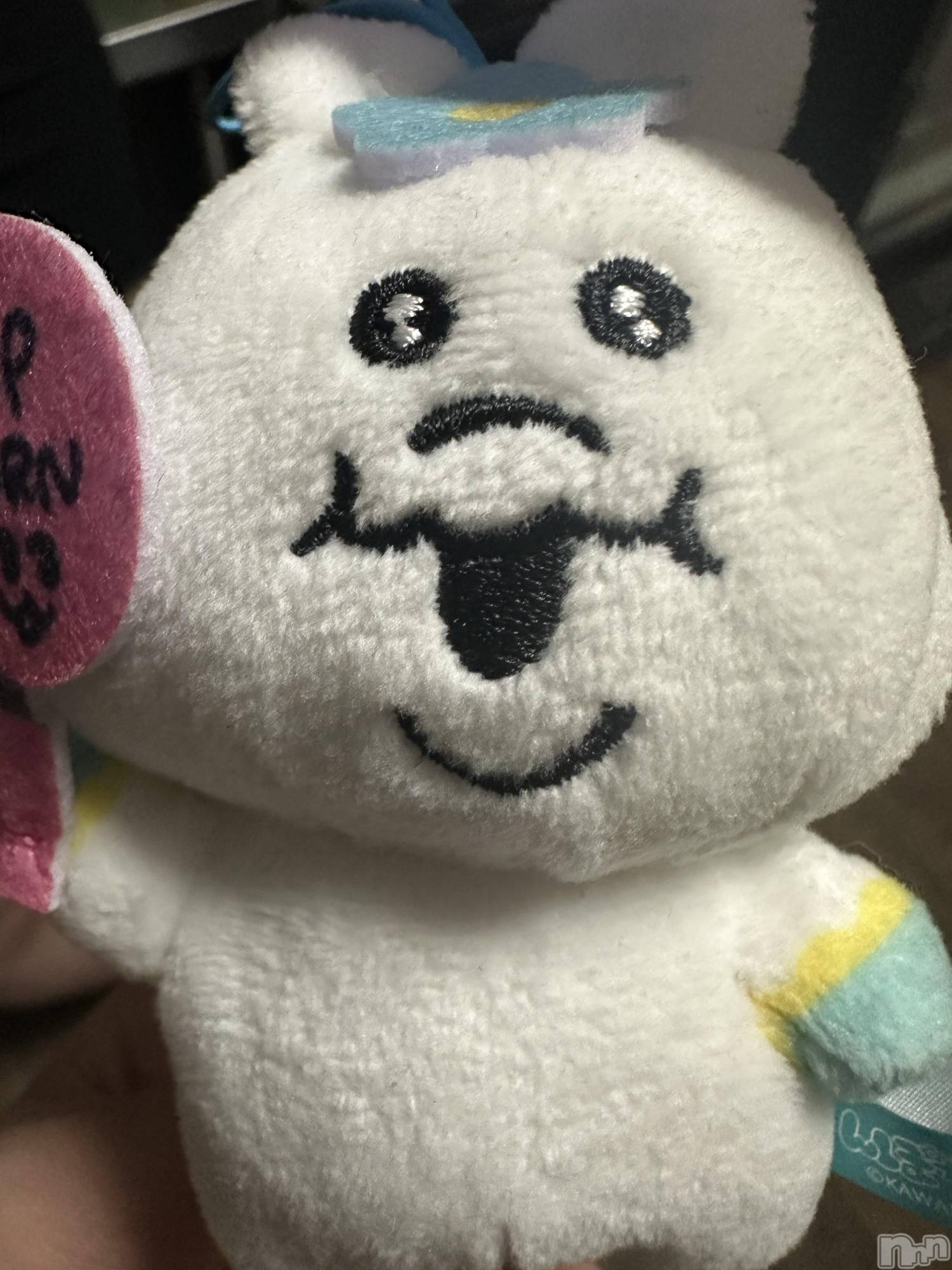 ���ץ���Х��顦�����CLUB BOSS(����� �ܥ�) ��2026ǯ2��17���̥�֥����֤���ʤ����ˤ��ä��������🌸��