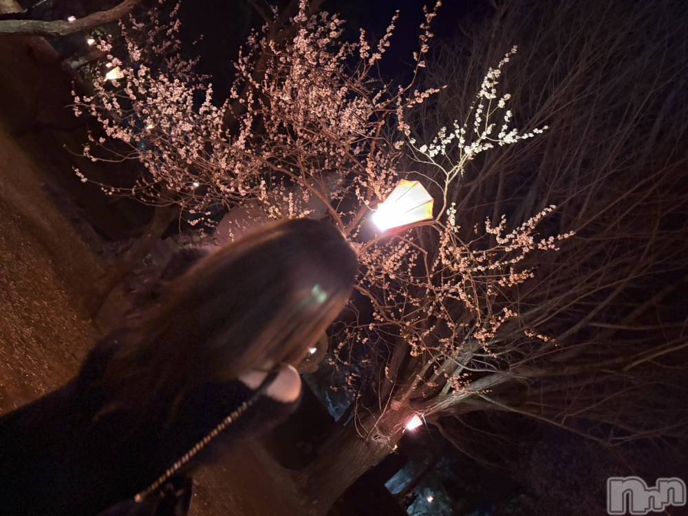 ���ץ���Х��顦�����CLUB BOSS(����� �ܥ�) �줤����4��8���̥�֥�����🌸��