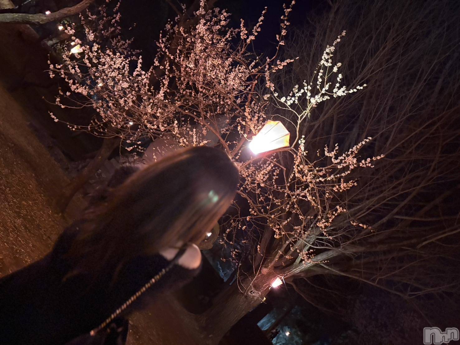 ���ץ���Х��顦�����CLUB BOSS(����� �ܥ�) ��2026ǯ4��8���̥�֥�����🌸��