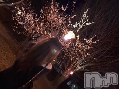 ���ץ���Х��顦�����CLUB BOSS(����� �ܥ�) �줤��(24)��4��8���̥�֥�����🌸��